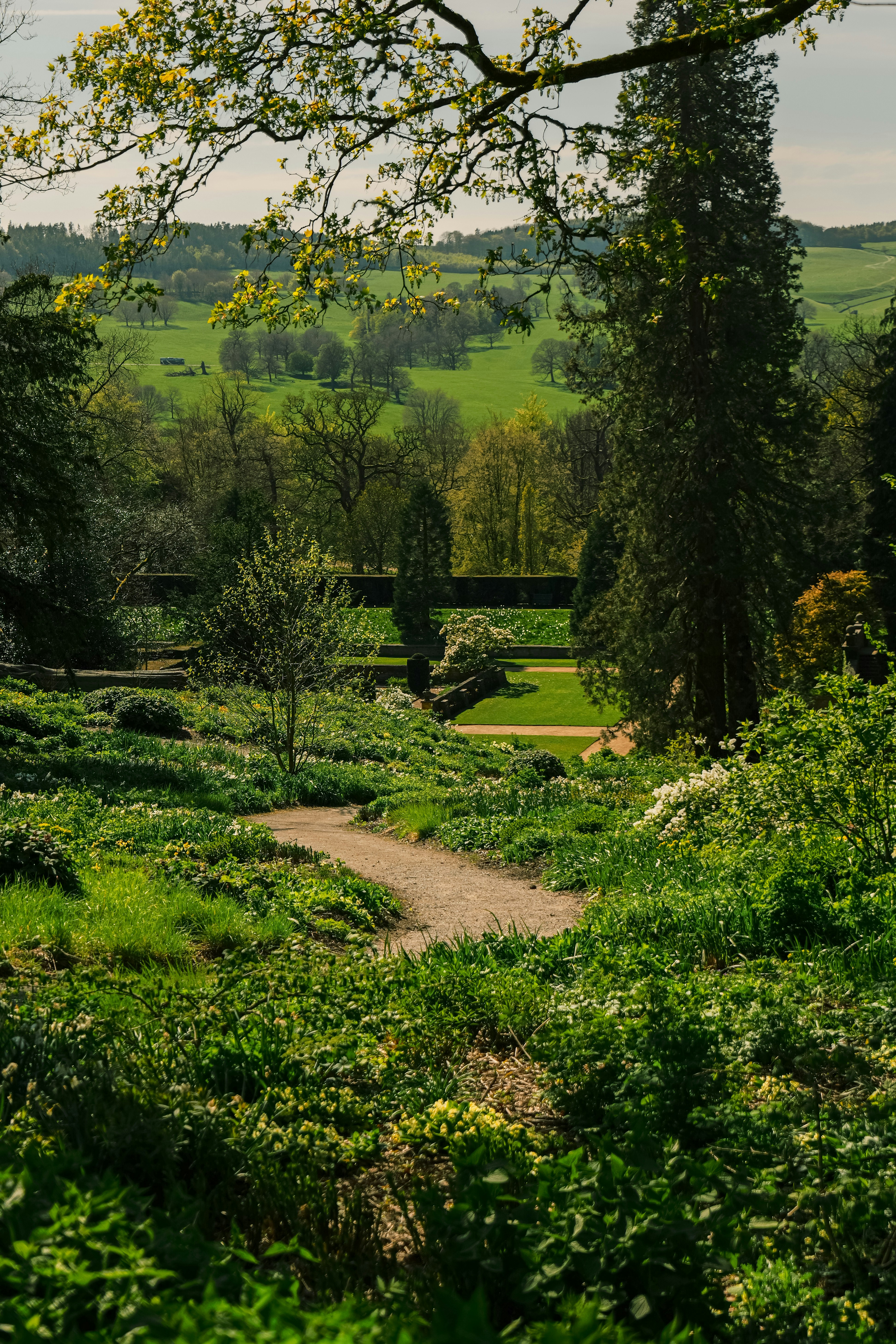 Ramster Garden