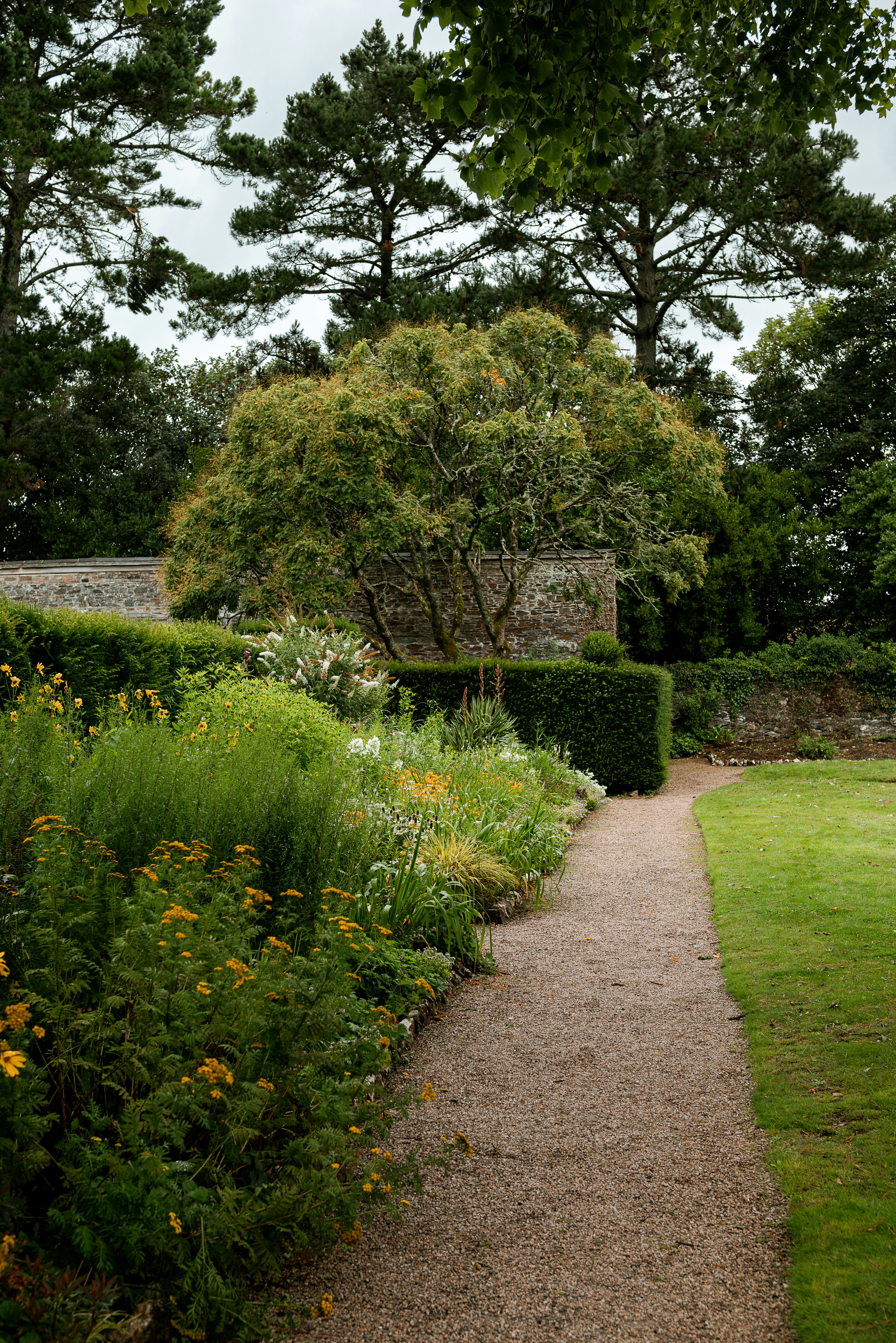 RHS Garden Wisley