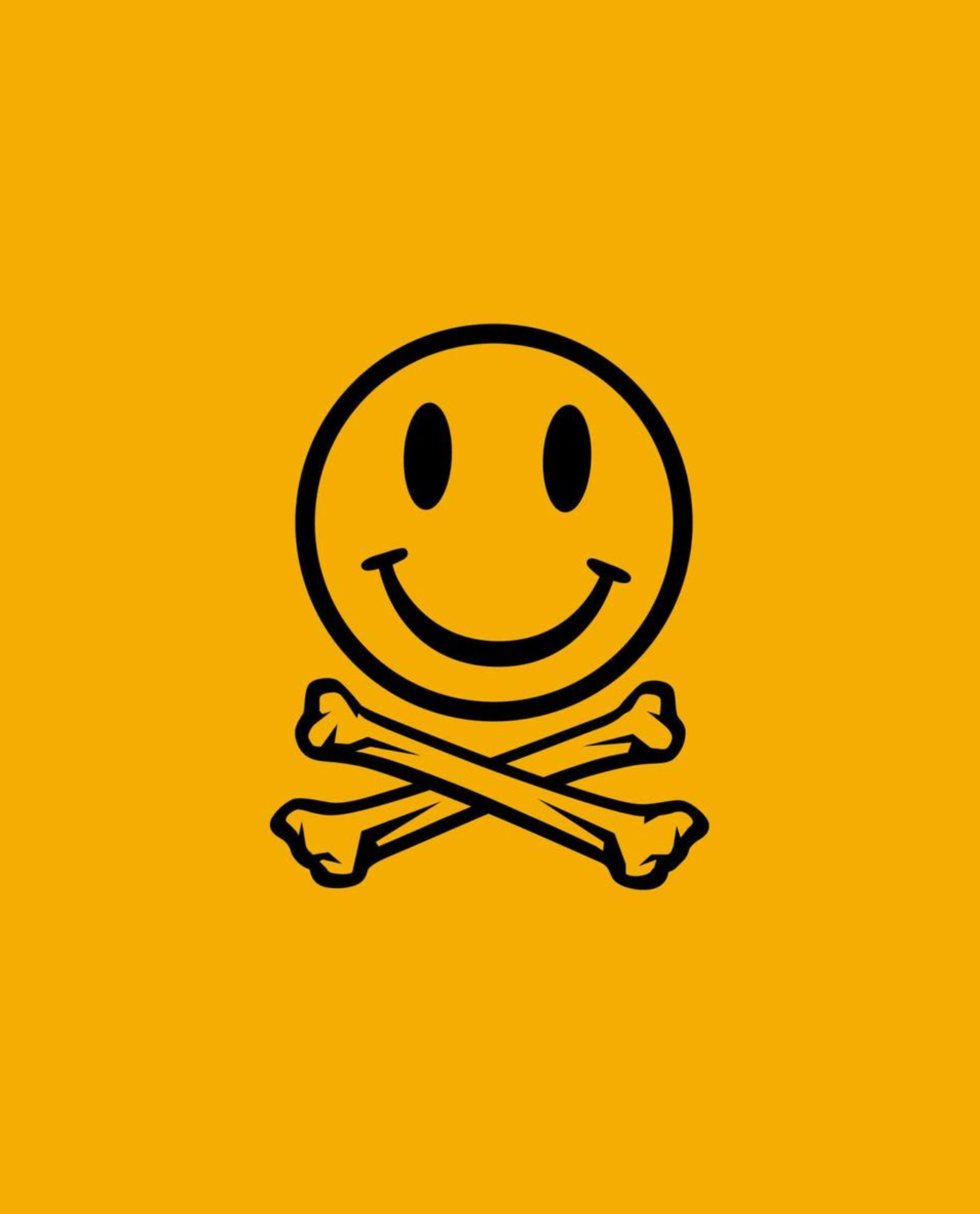 The Fatboy Slim Experience