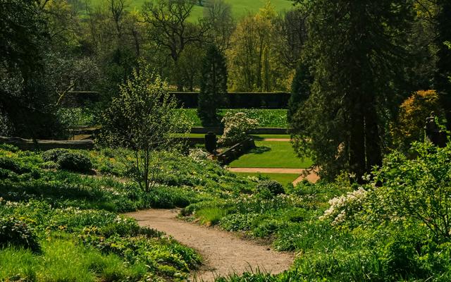Ramster Garden