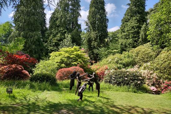 Ramster Garden Autumn Opening