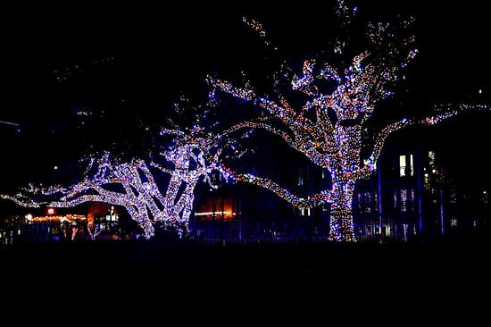 Illuminate Guildford Winter Light Trail