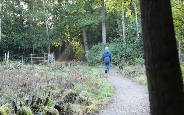 Polesden Dog Walking Group