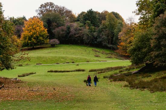 Walkies at Wisley