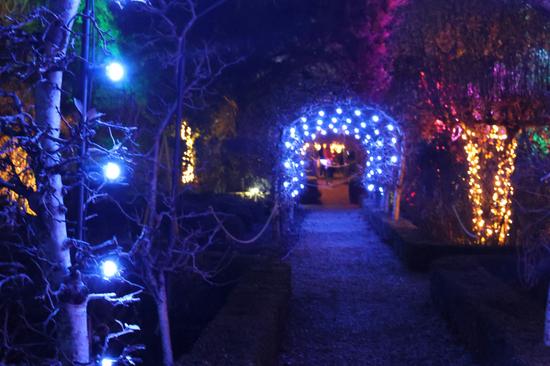 Christmas at Kew