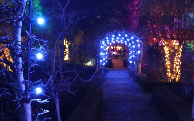 Christmas at Kew