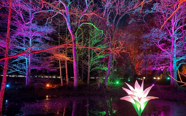 Kew Gardens