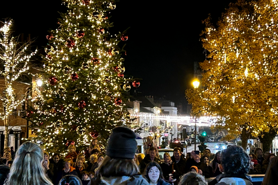 Henley Living Advent Calendar