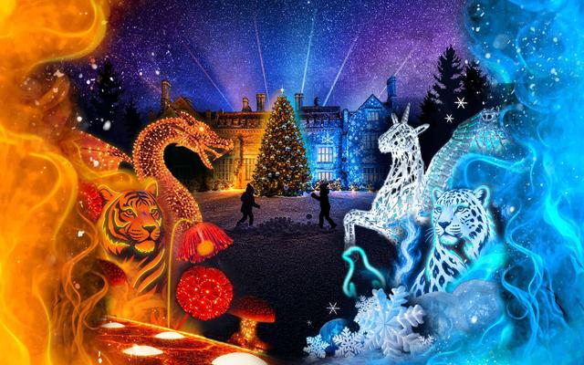 Christmas at Marwell Zoo