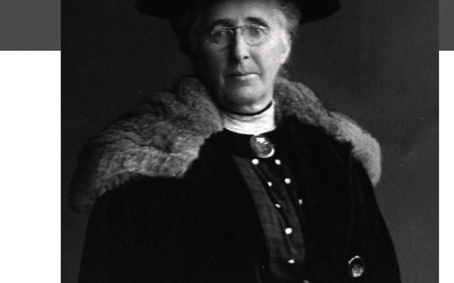 The Amelia Scott
