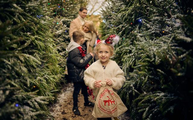 Christmas at LEGOLAND Windsor