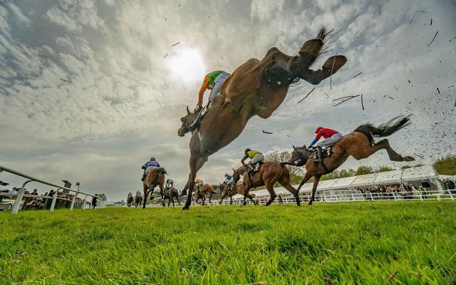 Plumpton Racecourse