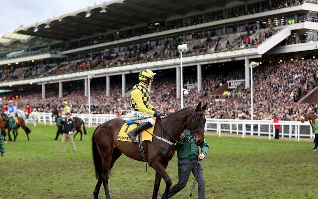 The William Hill Showcase at Cheltenham Racecourse