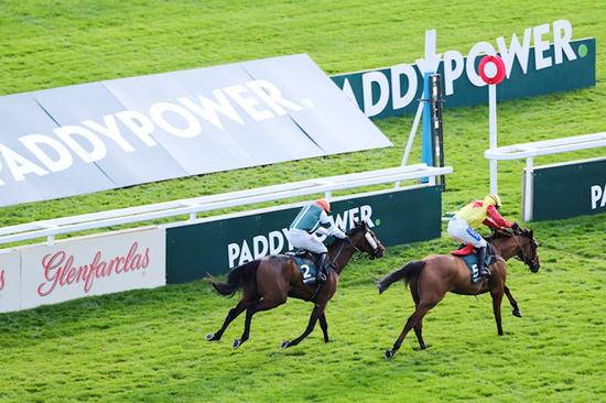 The November Meeting: Paddy Power Gold Cup Saturday