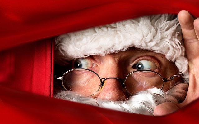 Christmas on the Farm at Cotswold Farm Park