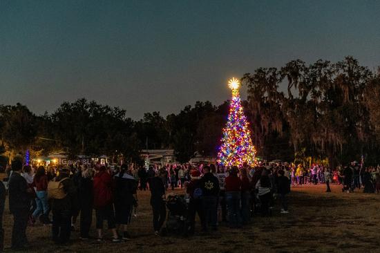 Bourne Hall Christmas Lights Switch-On