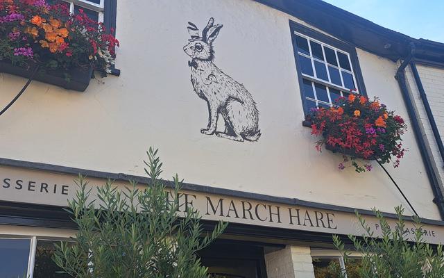 The March Hare