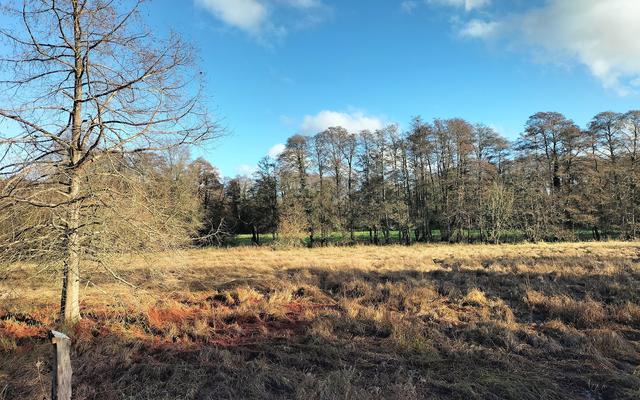Shalford Park